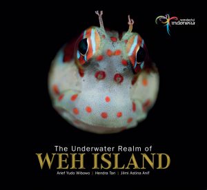 photodivetrip-WEH-ISLAND