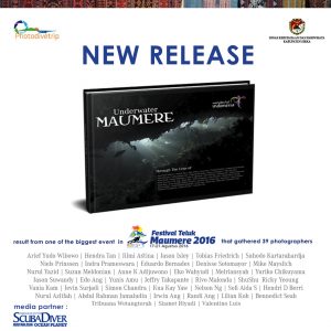 instagram_maumere_new_release