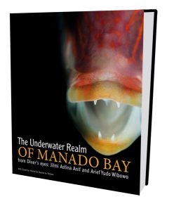 photodivetrip-The-underwate